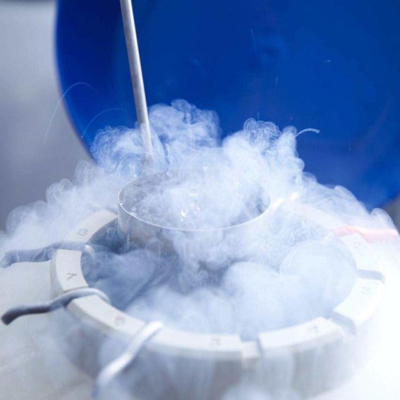 美國、台灣、香港凍卵全比較：流程、費用、優缺點一次看懂