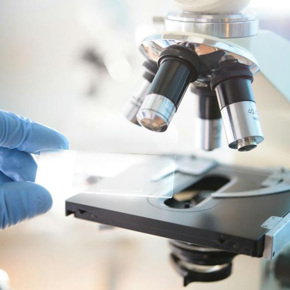 如何確保試管嬰兒健康？CGT基因篩檢、借精借卵匹配與PGS全流程解析