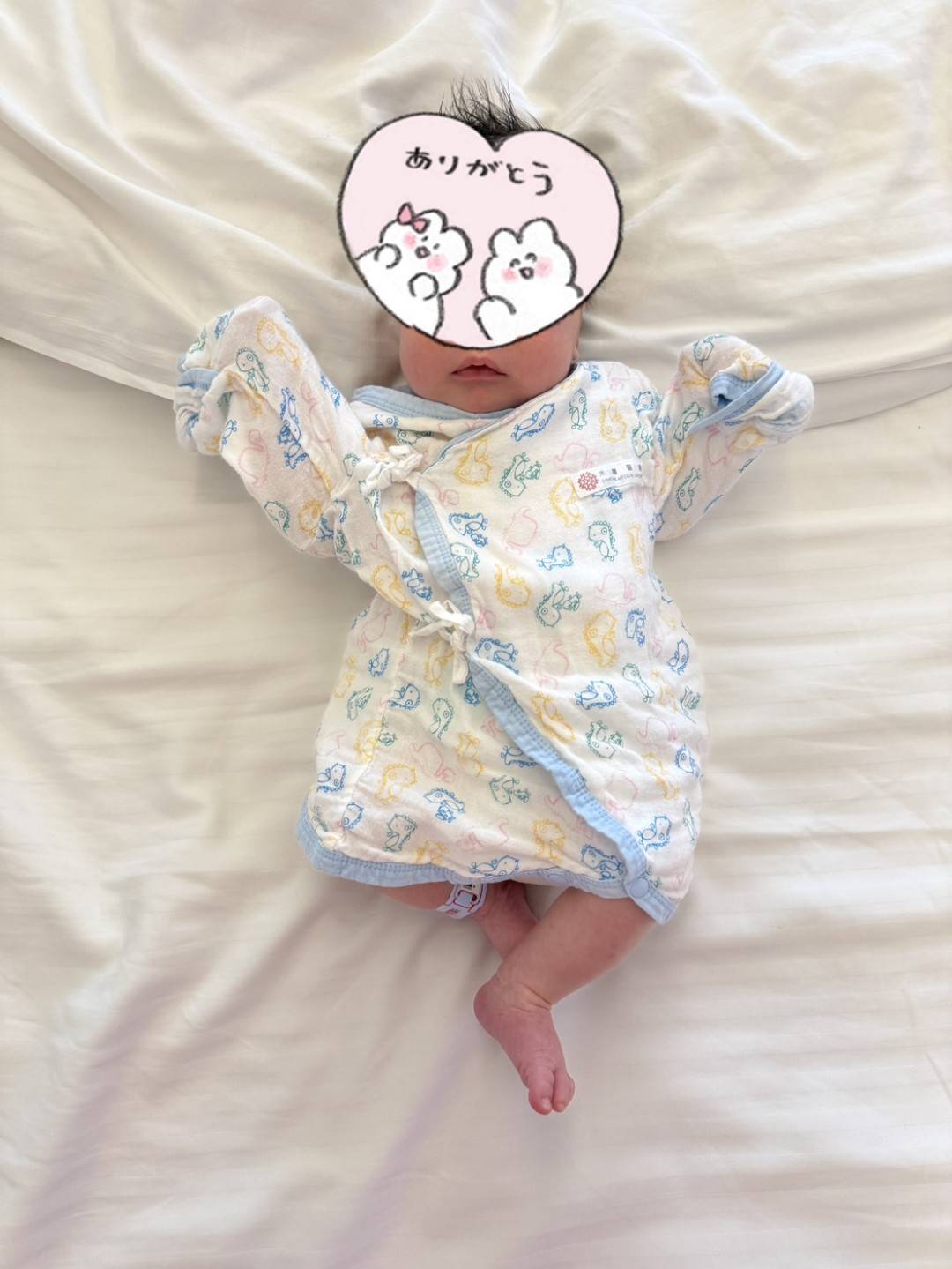 1767599108106 1767599108106